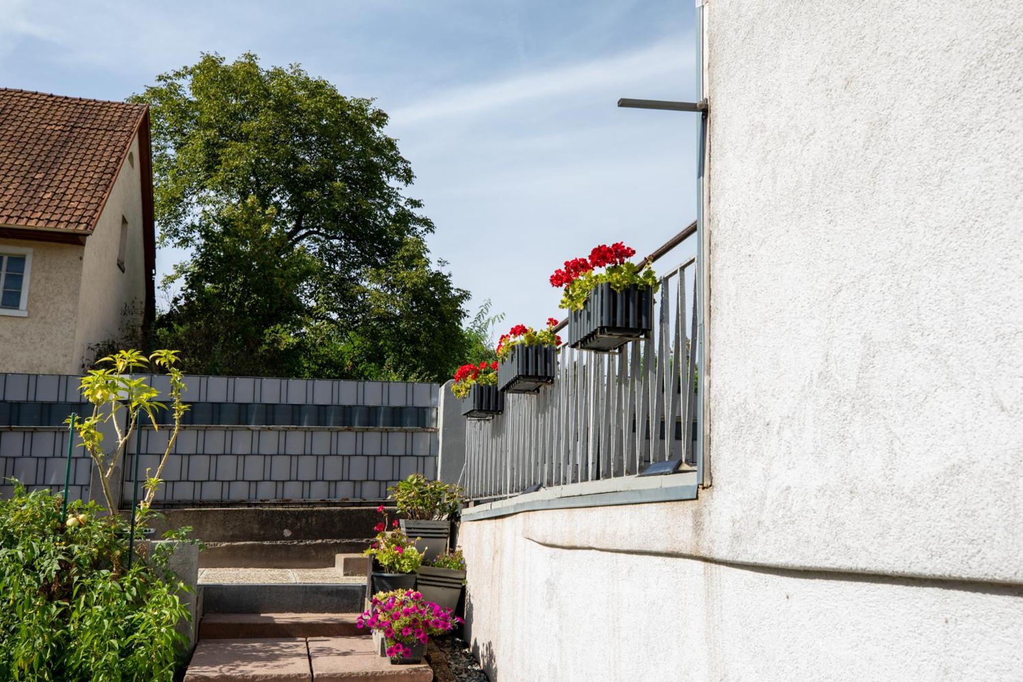 Hochrhein Ferienwohnung Albbruck Ngoại thất bức ảnh