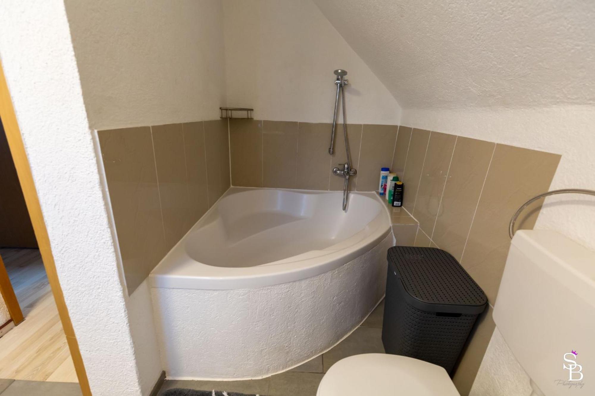 Hochrhein Ferienwohnung Albbruck Ngoại thất bức ảnh